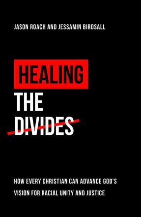 Healing The Divides